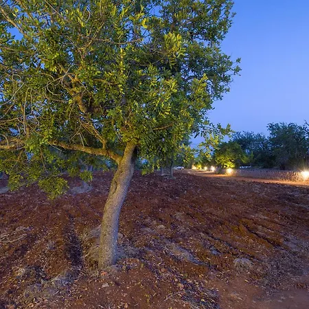 Вилла Cama Santa Gertrudis (Ibiza)